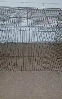قفس پرنده