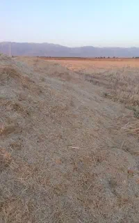 کاه گندم کاه کوب