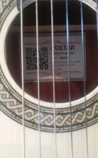 گیتار آواتار گیپسی نو