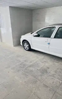 207 دنده پانوراما 405 رینگ