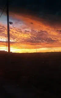 توری پلیسه باکیفیت ترین جنس