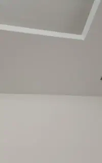 هالوژن آینه ای