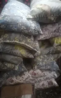 بالشت اقتصادی