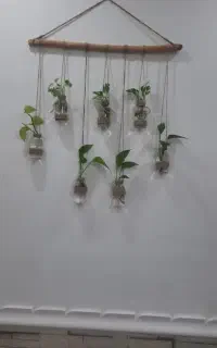 آویزگل‌وباکس