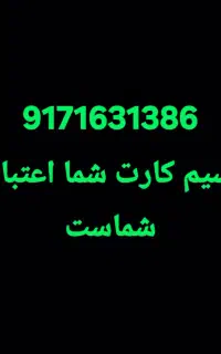 9171631386