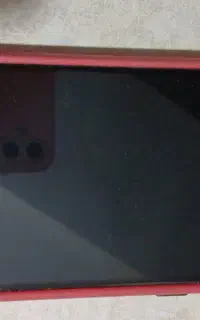 A31