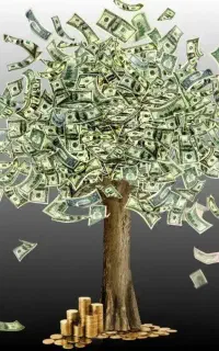 مشارکت مالی پرسود با تضمین معتبر