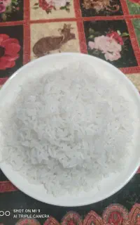 برنج ئوروگوی درجه یک با طعم و کیفیت برنج ایرانی