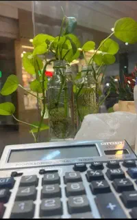 به یک فروشنده خانم نیازمندیم
