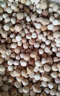 کره، روغن، کشک بز ۱۰۰٪ خالص