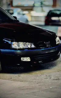 پارس مشکی