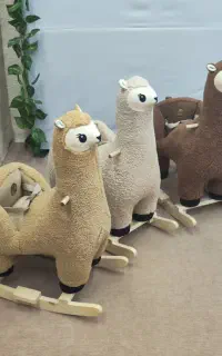 خانم جوان