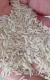 انگوت دره رود دهستان آقامحمدبیگلو