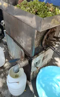 آبگیری انگوروگوجه همراه با دستگاه پرسی سیار و ثابت
