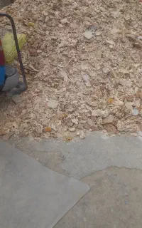 نان خشک