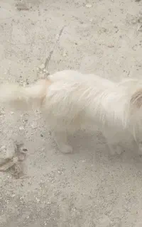 فروش فوری،فوری