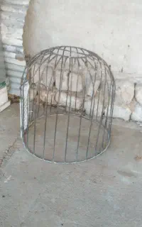 قفس حرفه ای