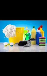 نظافت منزل ب صورت حرفه ای، باب سخت پسندها