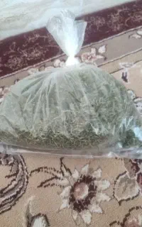 مرزه کوهی