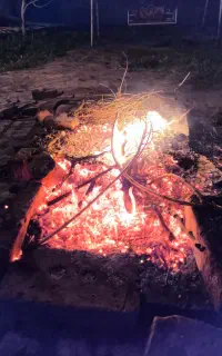 پک آموزشی ترید