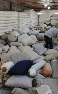 «تشک و بالش» عمده/تک