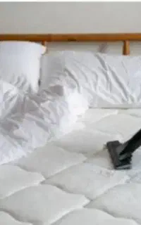 نیروی نظافت