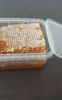 عسل کوردستان