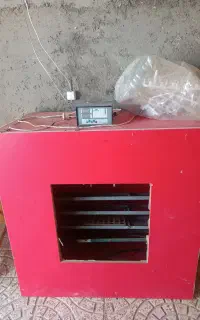 فروش دستگاه جوجه کشی