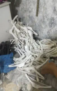 چوب کار اینه رگال ویترین مغازه