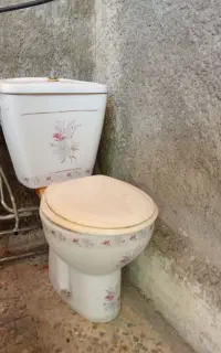 توالت فرنگی