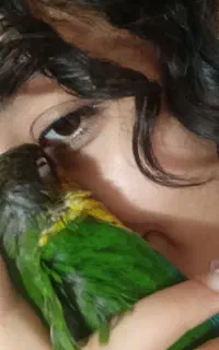 گمشده