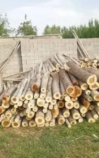 چوب