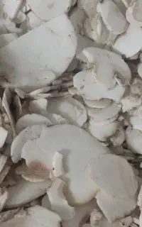قارچ دکمه ای و اسلایس درجه یک