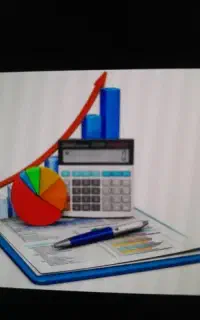 ضامن میشم رتبه a