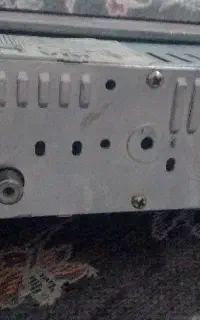 ظبط
