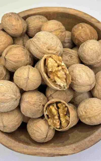 دو نمونه گردو ایرانی و خارجی بار امسالی و جدید