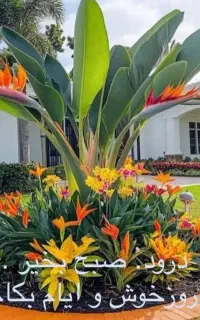 سرایدار باغ ویلا