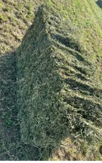 یونجه