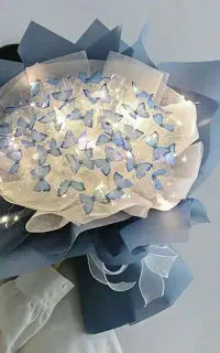 بوکت پروانه