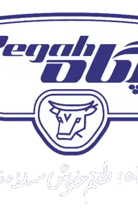 شرکت پخش سراسری بازارگستر پگاه