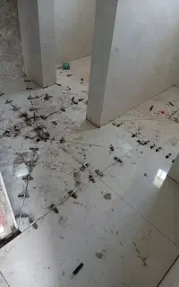نیازمند شاگرد کاشیکار