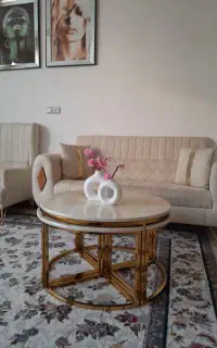 مبل راحتی ۷نفره بامیزعسلی