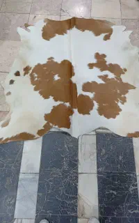 پوست گاوی ، پوست گاو دباغی شده