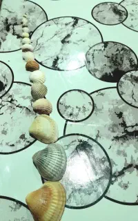 صدف