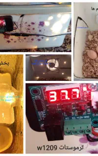 دستگاه جوجه کشی نیمه اتومات ۲۰تایی