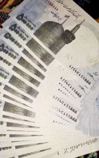 باگوشیت میلیونی پول دربیار