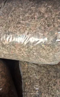 چاپر. ذرت بسته بندی شده