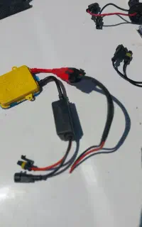 زنون سالم کم کار