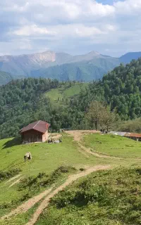 جذب نیروی کار در اولسبلنگاه ماسال