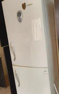 یخچال فریز سالم فرش و گلیم